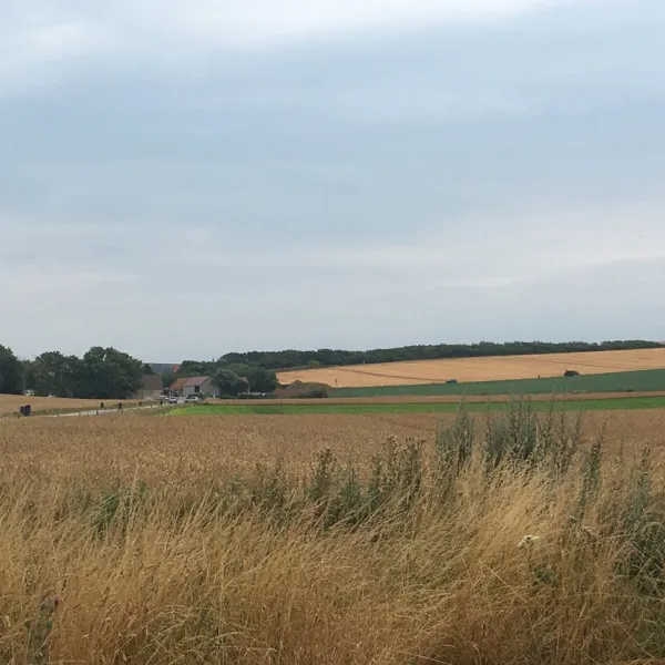 camping-des-epinettes-peuplingues-iwmbw