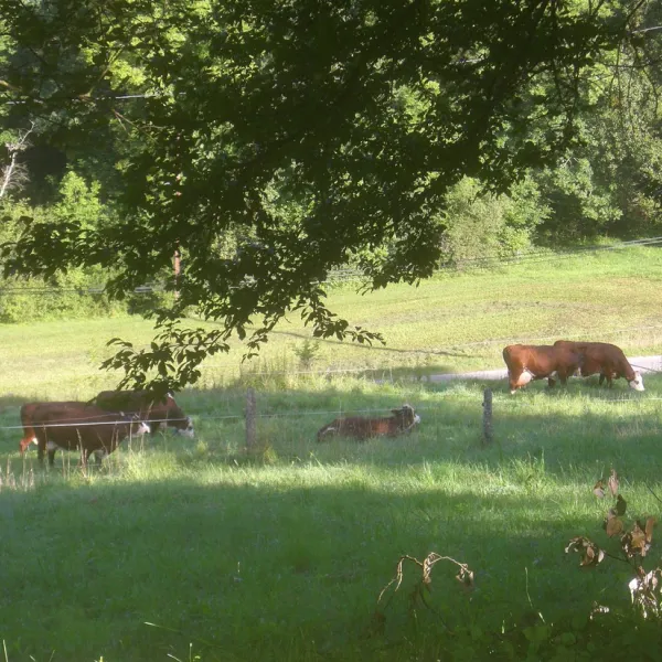 camping-le-crtoux-hautesavoie-ucog1