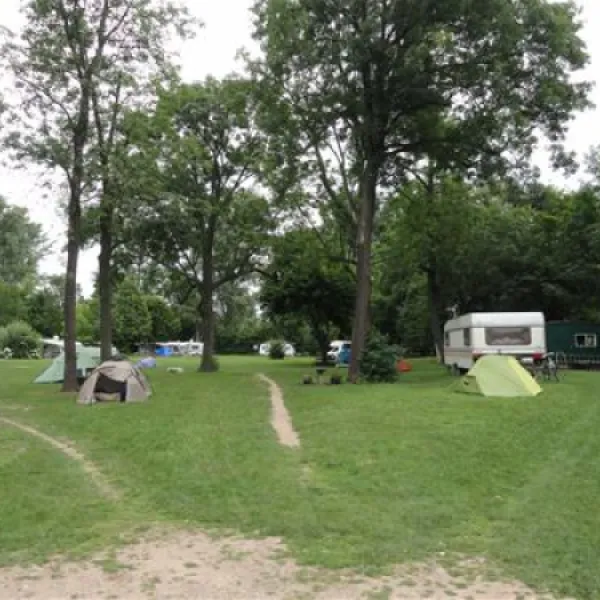 campingplatz-maaraue-mainzkostheim-dwtxx