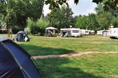 campingplatz-maaraue-mainzkostheim-rgaes