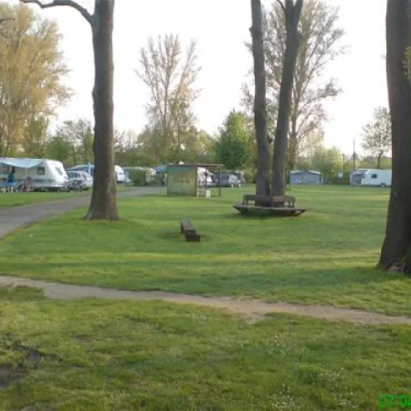 campingplatz-maaraue-mainzkostheim-zwmr0