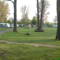 campingplatz-maaraue-mainzkostheim-zwmr0