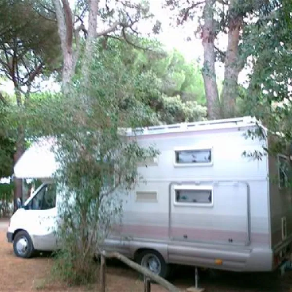 campeggio-maremma-sans-souci-castiglione-della-pescaia-afanq