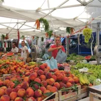 campeggio-maremma-sans-souci-castiglione-della-pescaia-botvn