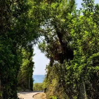 campeggio-maremma-sans-souci-castiglione-della-pescaia-cocqc