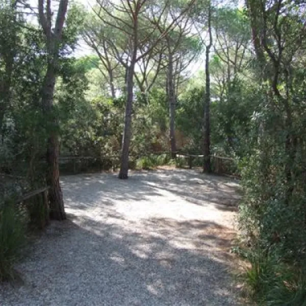 campeggio-maremma-sans-souci-castiglione-della-pescaia-levfz