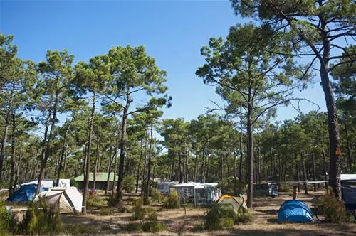 bombannes-coben-les-pins-carcans-iqrb3