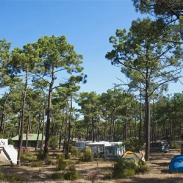 bombannes-coben-les-pins-carcans-iqrb3