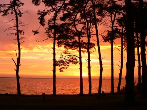 natur-camping-usedom-ltow-jca9u
