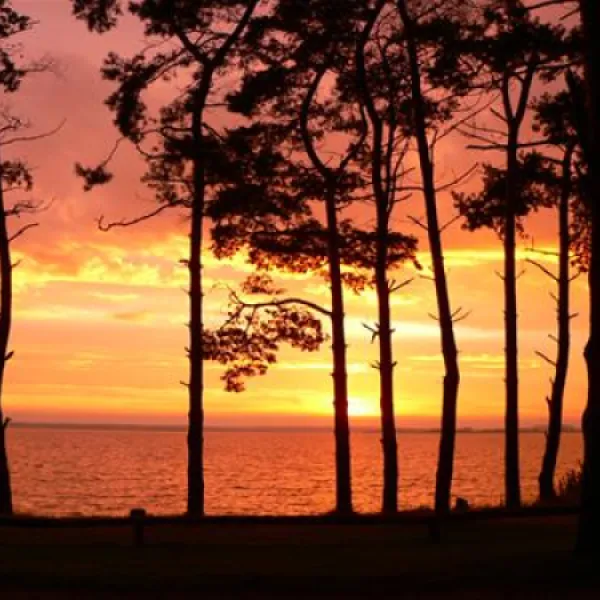 natur-camping-usedom-ltow-jca9u