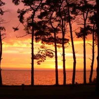 natur-camping-usedom-ltow-jca9u