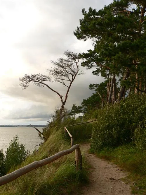 natur-camping-usedom-ltow-qdxiq