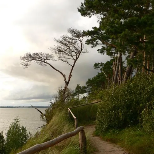 natur-camping-usedom-ltow-qdxiq