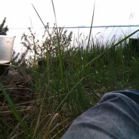 natur-camping-usedom-ltow-rxojt