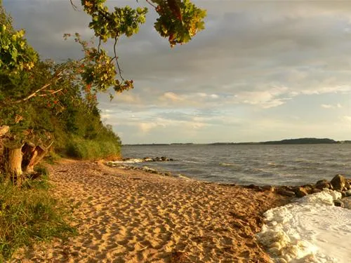 natur-camping-usedom-ltow-trwmm