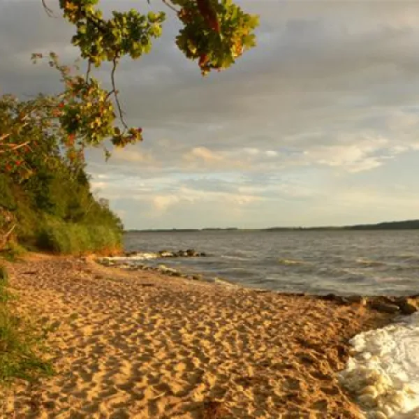 natur-camping-usedom-ltow-trwmm