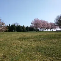 Camping aire naturelle Municipale
