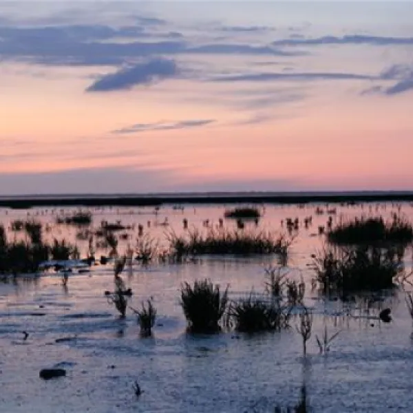 nordseecamp-norddeich-nordennorddeich-yebqp