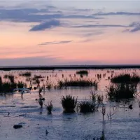 nordseecamp-norddeich-nordennorddeich-yebqp