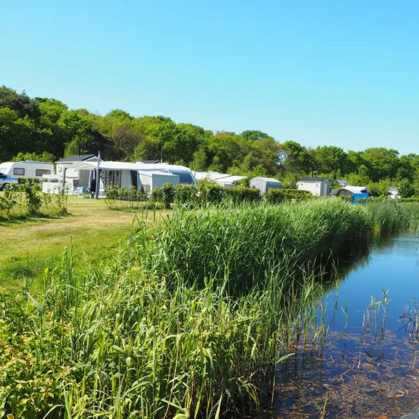 camping-de-bosrand-oudemirdum-fuhu5