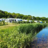 camping-de-bosrand-oudemirdum-fuhu5