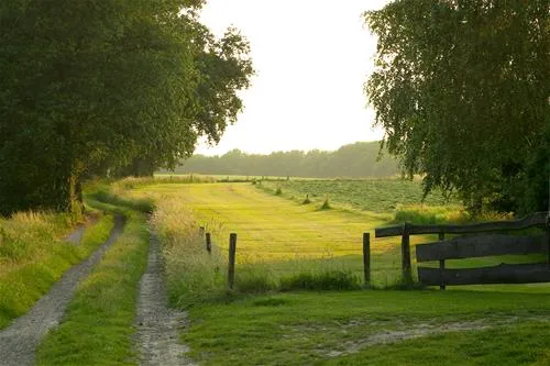 de-kuiperberg-camping-party-lounge-chalets-ootmarsum-9mohc