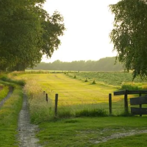 de-kuiperberg-camping-party-lounge-chalets-ootmarsum-9mohc