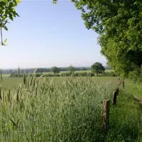 de-kuiperberg-camping-party-lounge-chalets-ootmarsum-cvwyw