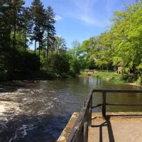 de-kuiperberg-camping-party-lounge-chalets-ootmarsum-hkt39