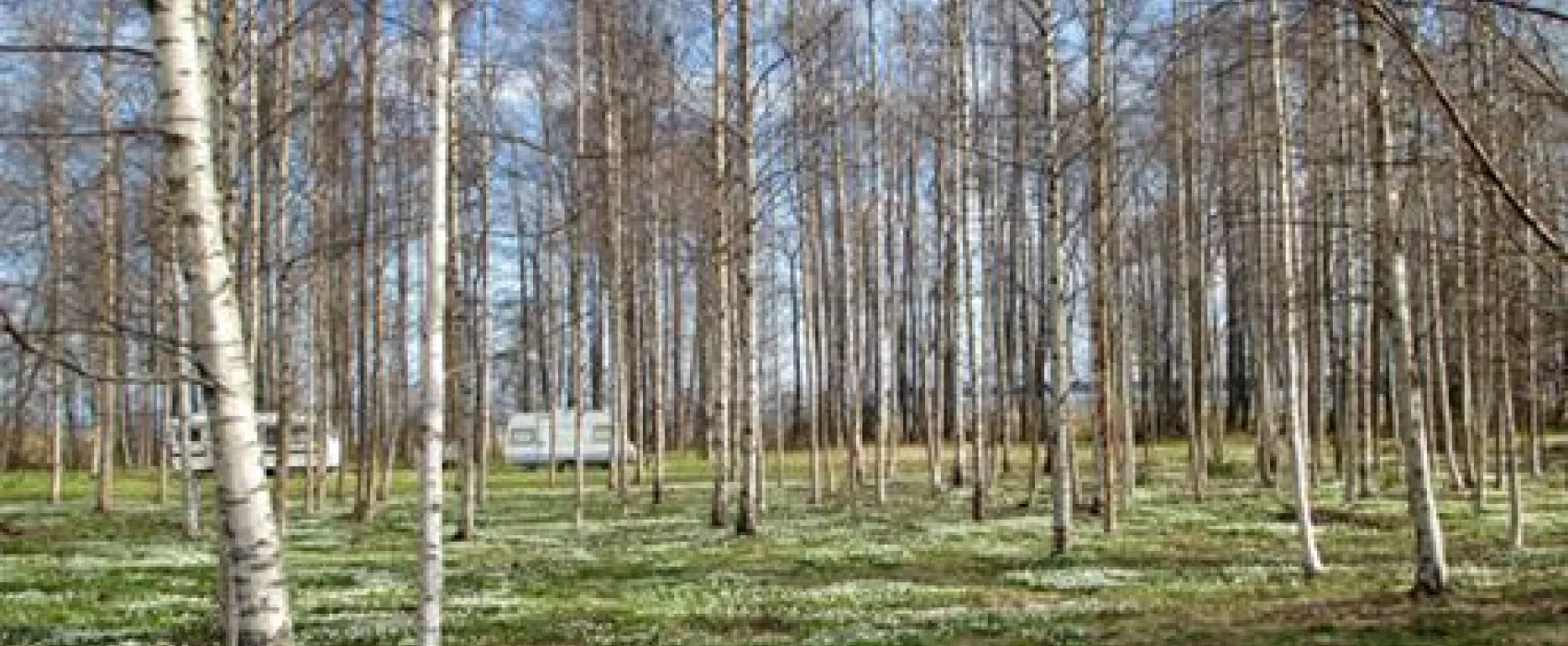 Lepispea Caravan & Camping