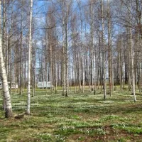 lepispea-caravan-camping-lahemaa-national-park-vsu-lnevirumaa-nsynh