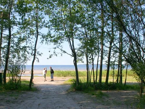 lepispea-caravan-camping-lahemaa-national-park-vsu-lnevirumaa-p0bxy