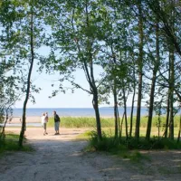 lepispea-caravan-camping-lahemaa-national-park-vsu-lnevirumaa-p0bxy