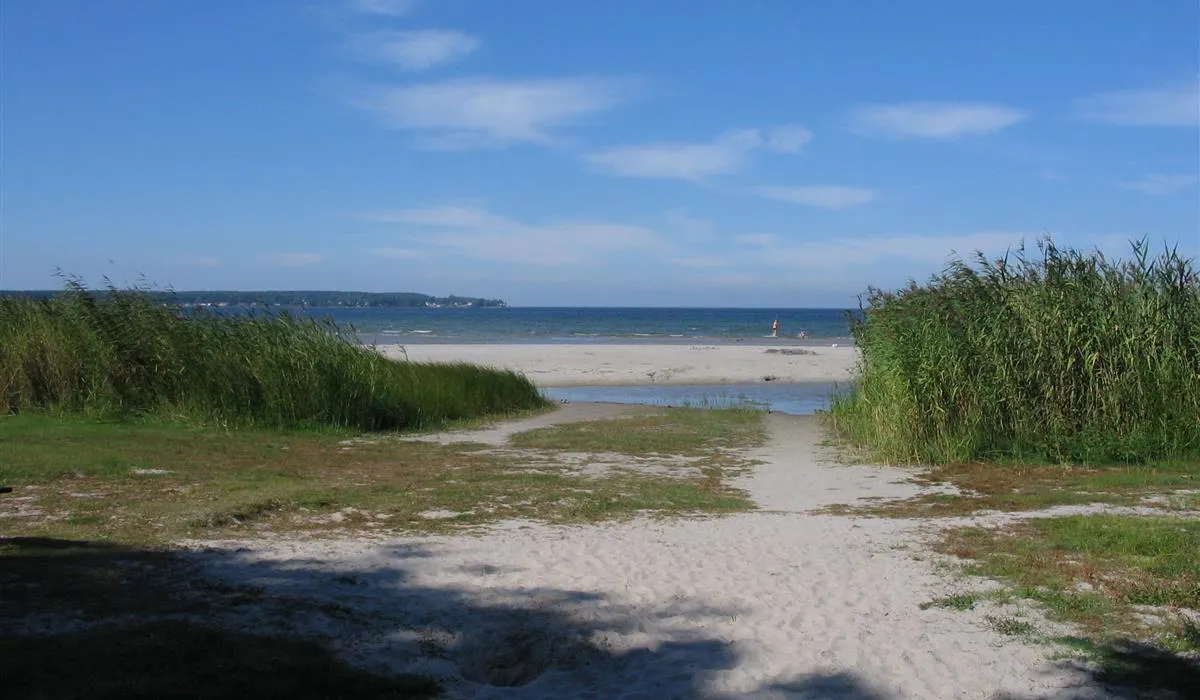lepispea-caravan-camping-lahemaa-national-park-vsu-lnevirumaa-usewj