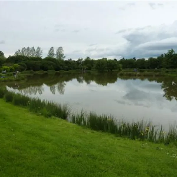 the-millpond-hereford-fchpg
