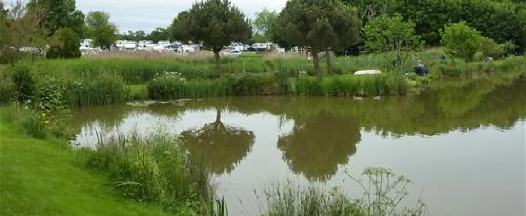 The Millpond