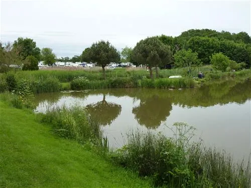 the-millpond-hereford-koj60