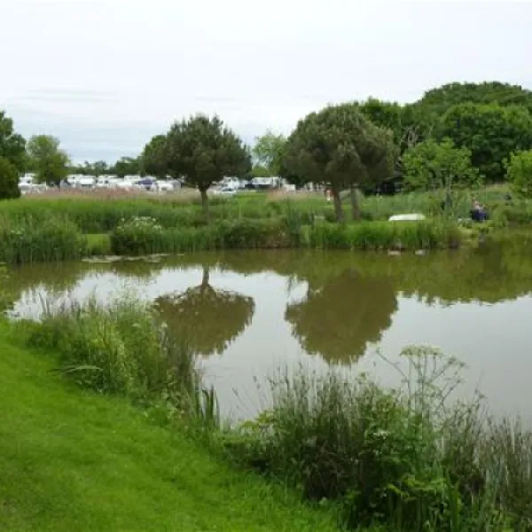 the-millpond-hereford-koj60