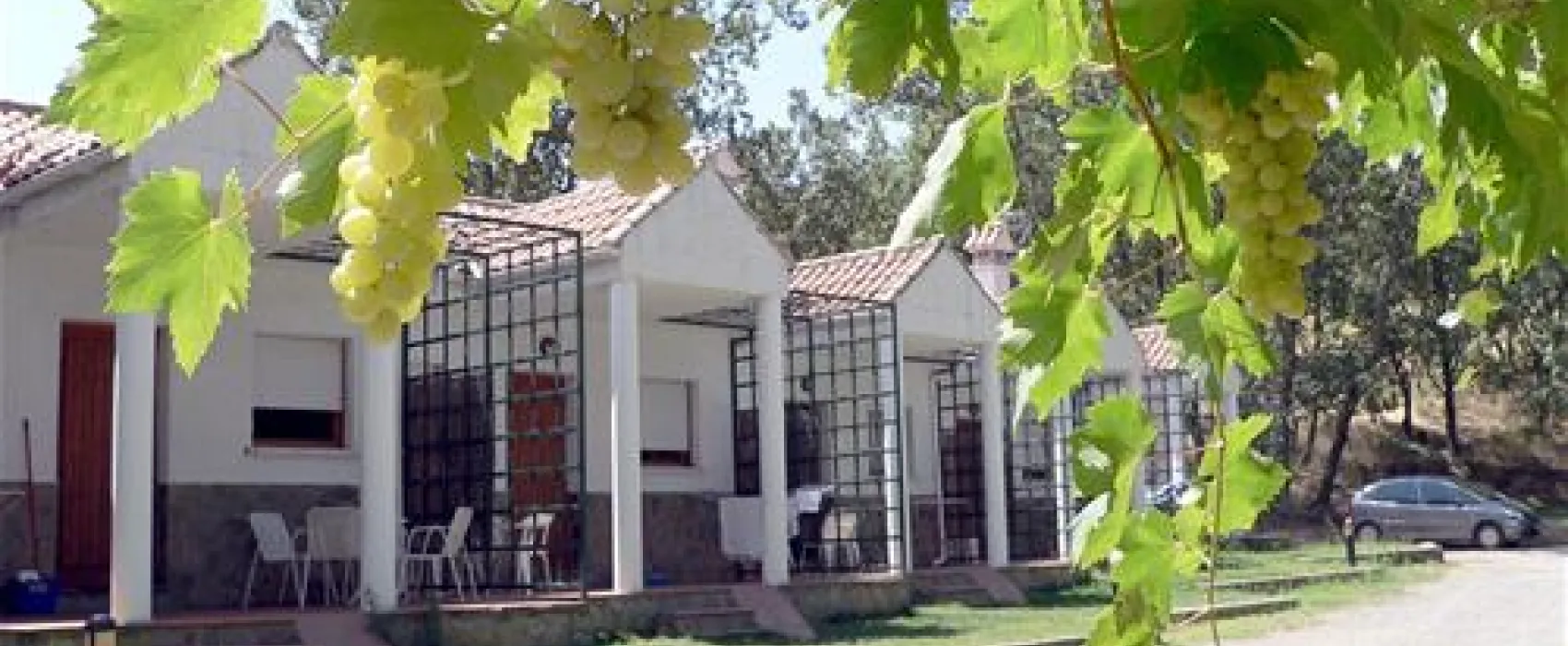 Camping Carlos I