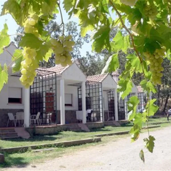 Camping Carlos I
