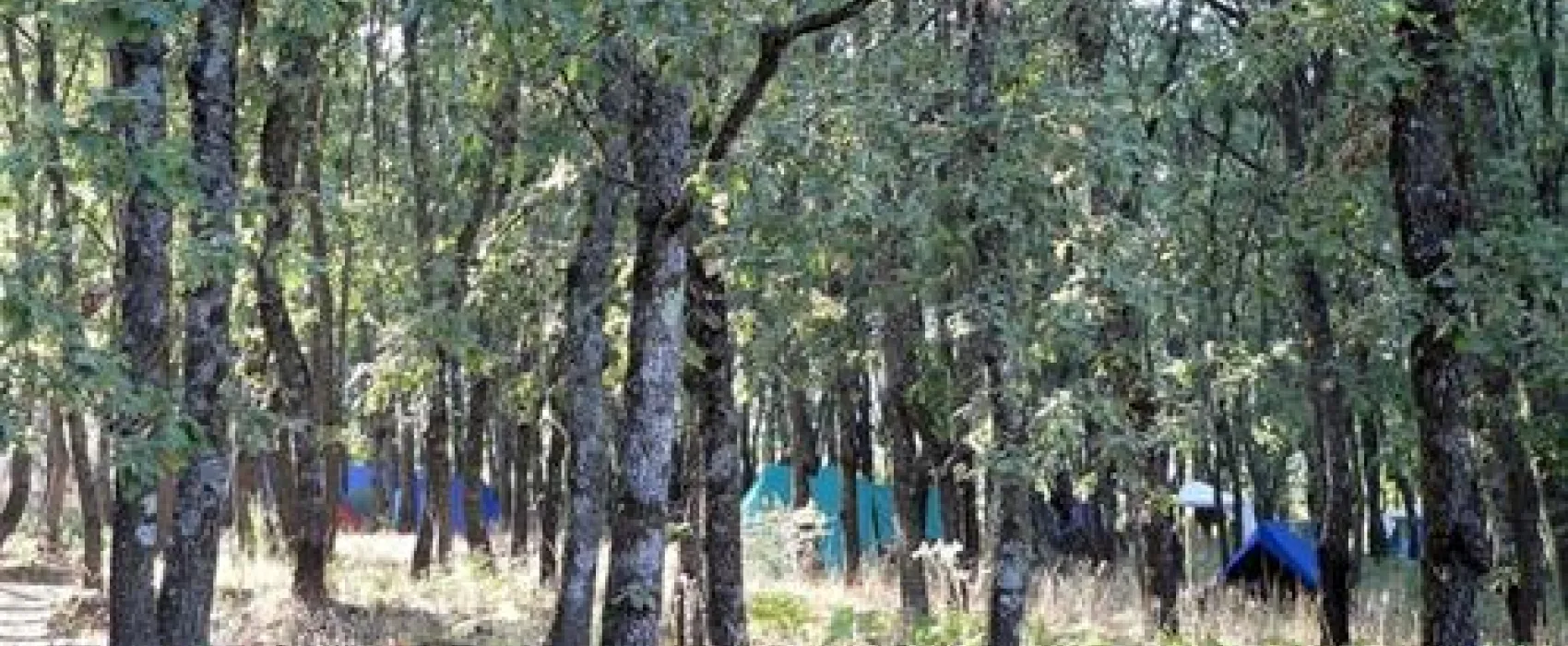 Camping Carlos I