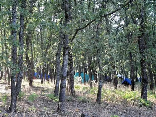 camping-carlos-i-cuacos-de-yuste-7dgld