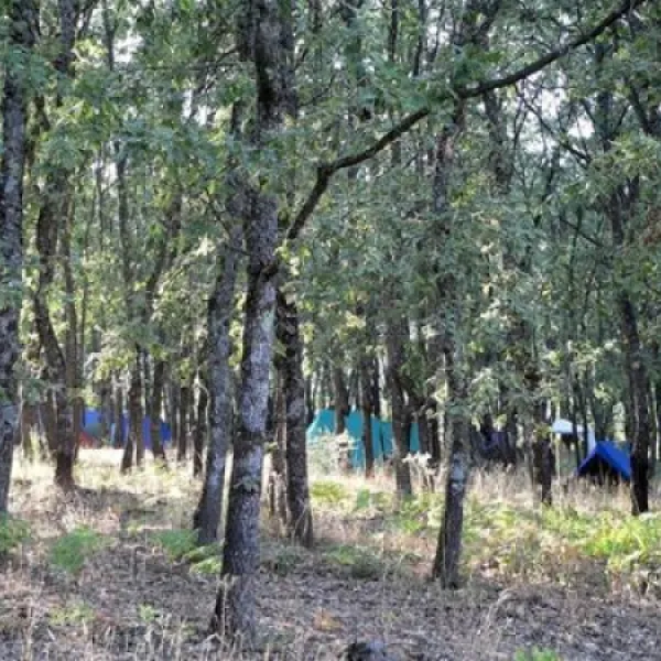 camping-carlos-i-cuacos-de-yuste-7dgld