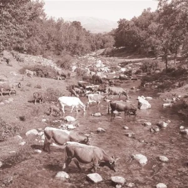 camping-carlos-i-cuacos-de-yuste-bkozq