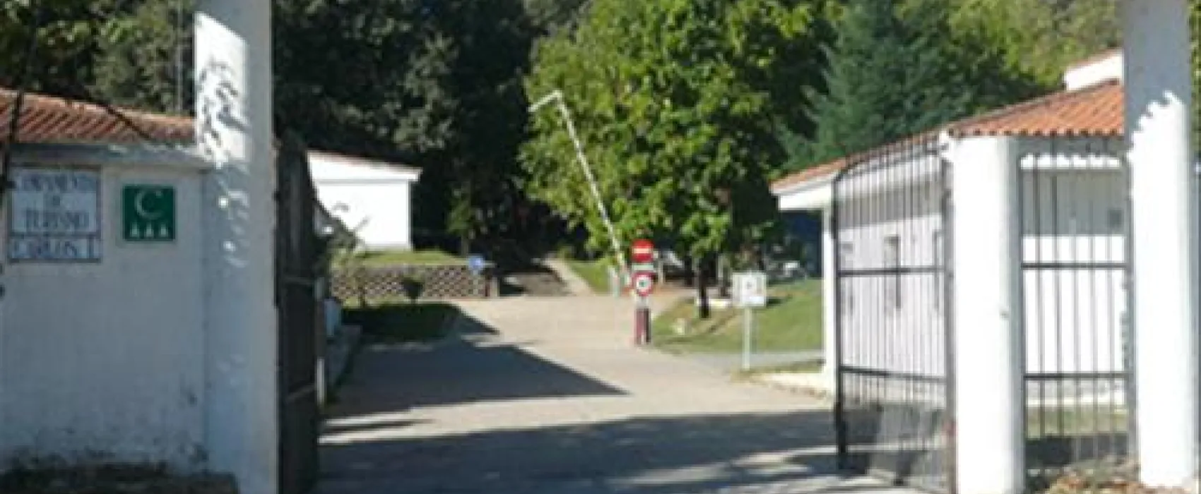 Camping Carlos I