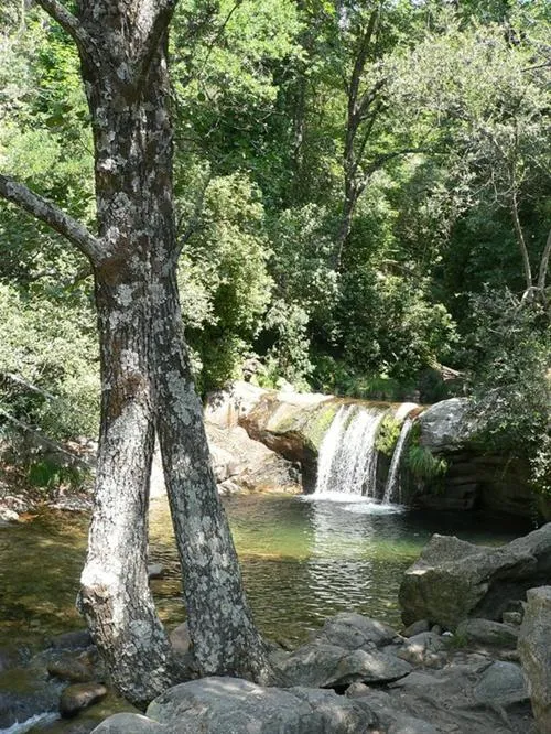 camping-carlos-i-cuacos-de-yuste-l9zb1