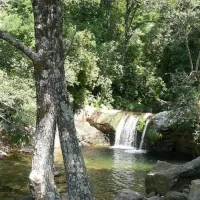 camping-carlos-i-cuacos-de-yuste-l9zb1