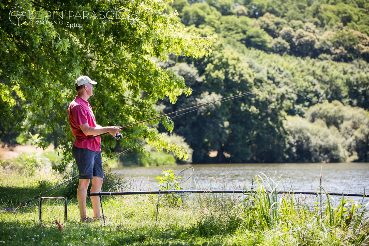 camping-le-pin-parasol-la-chapelle-hermier-k7izz