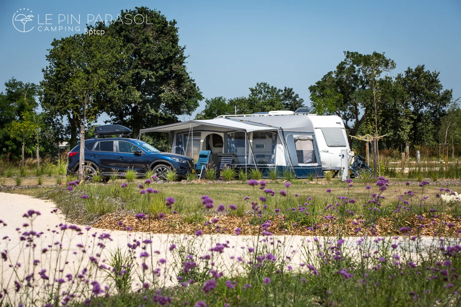 camping-le-pin-parasol-la-chapelle-hermier-lpk7g