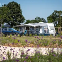 camping-le-pin-parasol-la-chapelle-hermier-lpk7g
